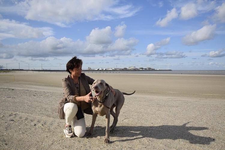Hotel Ter Duinen - La Guera นอคเคอ-เฮสท์ ภายนอก รูปภาพ